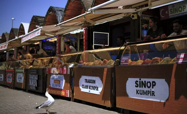 A seagull eats corn thrown by vendors selling the popular Turkish stuffed baked potato dish known as as "Kumpir" at a waterfront square in Ortakoy, Istanbul, Turkey, Friday, May 23, 2025. (AP Photo/Emrah Gurel)