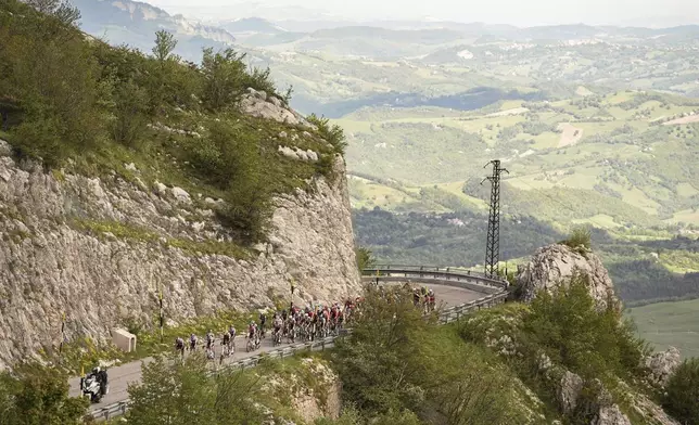 The peloton climbs a hill during the stage 8 of the Giro d'Italia from Giulianova to Castelraimondo, Italy, Saturday, May 17, 2025. (Marco Alpozzi/LaPresse via AP)