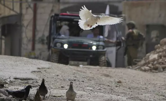 Israeli soldiers check a Red Crescent vehicle that is evacuating residents of the now evacuated Palestinian refugee camp of Tulkarem who returned to collect belongings before the destruction of their homes as Israeli forces prepared to carry out the demolition of homes across the two refugee camps of the Israeli occupied West Bank city of Tulkarem, Thursday, May 29, 2025. (AP Photo/Nasser Nasser)