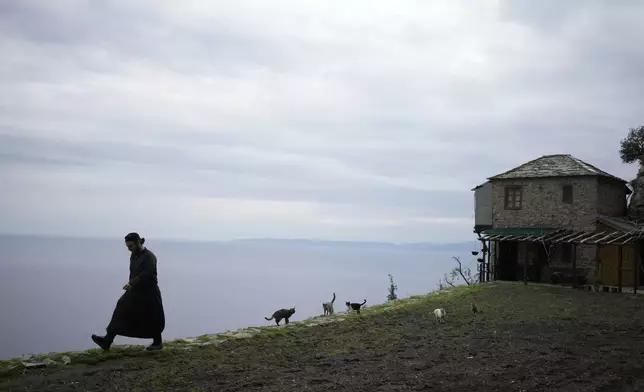 Father Paisios is followed by cats walks at the Simonopetra, or Simonos Petra Monastery, home of the all-male autonomous community of Agion Oros, or Holy Mountain, on the peninsula of Mount Athos in northern Greece, Monday, April 14, 2025. (AP Photo/Thanassis Stavrakis)
