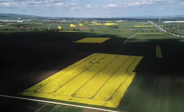 Clouds drift over a field with blossoming rape in the outskirts of Frankfurt, Germany, Friday, April 25, 2025. (AP Photo/Michael Probst)