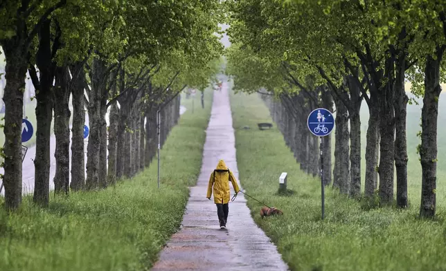 A woman walks her dog in an alley in Frankfurt, Germany, on a rainy Thursday morning, April 24, 2025. (AP Photo/Michael Probst)