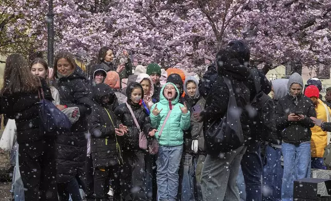 Children pose for a photo next to a blooming cherry blossom tree in the Friendship Garden during snowfall, in St. Petersburg, Russia, Saturday, April 26, 2025. (AP Photo/Dmitri Lovetsky)