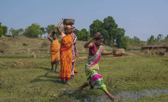 Women from Gadaba Indigenous community walk to collect vegetables and wood from the forest in Hatipakna village, Koraput district, in India's eastern state of Odisha, Wednesday, April 16, 2025. (AP Photo/Rafiq Maqbool)