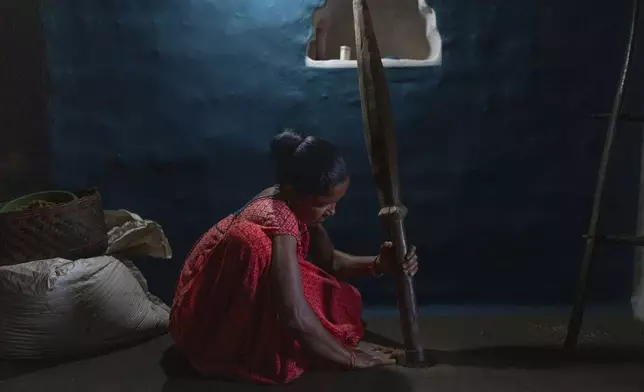 A woman from Gadaba Indigenous community grinds millet in Badakichaba village of Koraput district, in India's eastern state of Odisha, Friday, April 18, 2025. (AP Photo/Rafiq Maqbool)