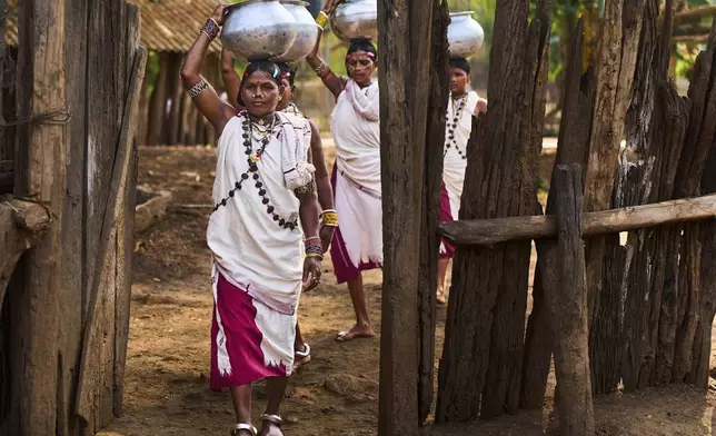 Women from the Durua tribe carry water vessels in Hatipakna village, Koraput district, in India's eastern state of Odisha, Thursday, April 17, 2025. (AP Photo/Rafiq Maqbool)