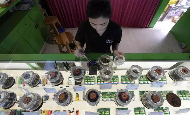 FILE- A staff prepares flower bud of cannabis for a customer at cannabis shop Bangkok, Thailand, July 18, 2024. (AP Photo/Sakchai Lalit, File)
