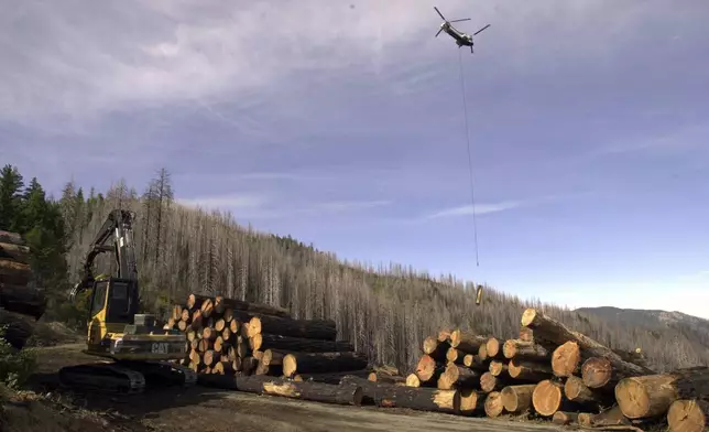 FILE - A helicopter ferries a log to the landing Wednesday, Sept. 20, 2006, on the Mike's Gulch timber sale in the South Kalmiopsis Roadless Area of the Rogue River-Siskiyou National Forest near Selma, Ore. (AP Photo/Jeff Barnard,File)