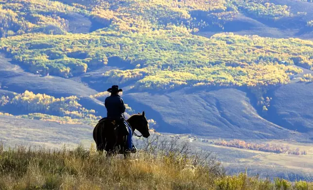 FILE - Wrangler Doug Washburn, of Crested Butte, Colo. overlooks aspen trees with their autumn colors, near Jacks Cabin in the Slate River Valley near Crested Butte, Colo. while gathering the Spann cattle from the U.S. National Forest lands, Oct. 5, 2007. (AP Photo/Nathan Bilow, File)