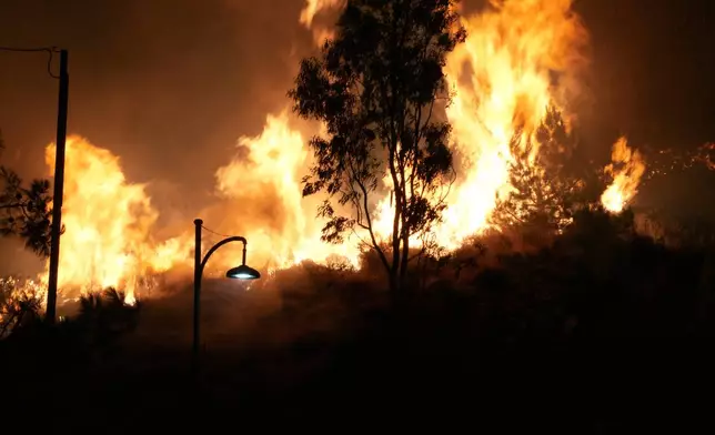 A large wildfire burns trees in Kofinas, on the eastern Aegean island of Chios, Greece, late Sunday, June 22, 2025. (Pantelis Fykaris/Politischios.gr via AP)