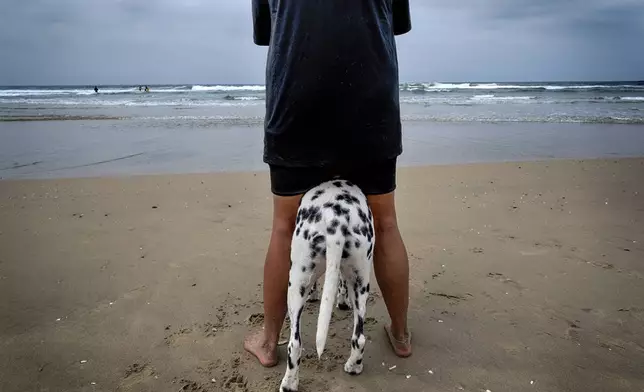 Joanne Owen and her 4-year-old Dalmatian Bentley watch as Bentley's sister Bailey competes in the annual Incredible Dog Challenge western regional surfing competition in Huntington Beach, Calif., Friday, June 20, 2025. (AP Photo/Richard Vogel)
