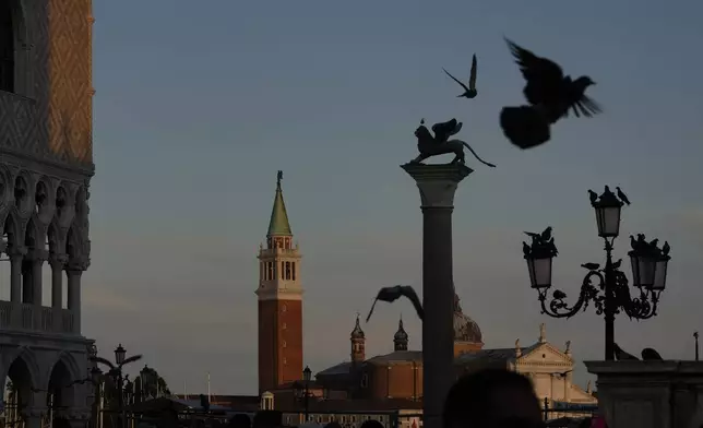 Pigeons fly at sunset over St. George Church on St. George's Island in Venice , Italy, Friday, June 27, 2025. (AP Photo/Luca Bruno)