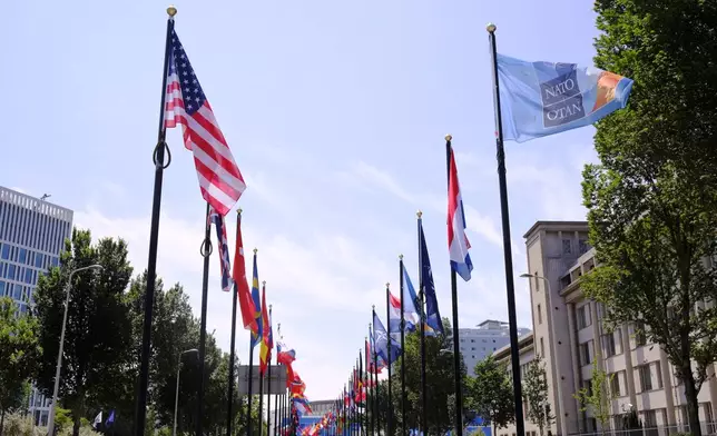 International flags on the venue ahead of the upcoming NATO summit in The Hague, Netherlands, Monday, June 23, 2025. (AP Photo/Patrick Post)