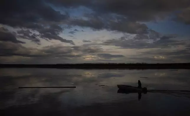 Jake Pogrebinsky collects a log floating down the Yukon River to be used for firewood or construction Tuesday, May 20, 2025, in Galena, Alaska. (AP Photo/John Locher)