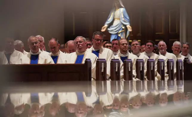 Priests attend the ordination of 12 priests at the Cathedral of Saint Thomas More in Arlington, Va., on Saturday, June 7, 2025. (AP Photo/Jessie Wardarski)