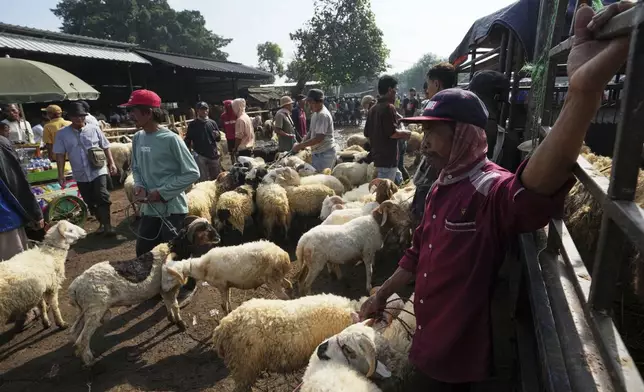 Traders sell sheep and goats ahead of Eid al-Adha holiday at a livestock market in Jonggol, West Java, Indonesia, Monday, June 2, 2025. (AP Photo/Achmad Ibrahim)