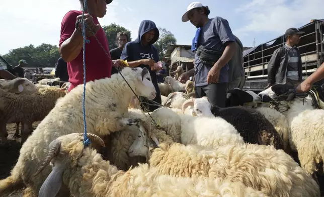 A trader sells his sheep to a buyer ahead of Eid al-Adha holiday at a livestock market in Jonggol, West Java, Indonesia, Monday, June 2, 2025. (AP Photo/Achmad Ibrahim)