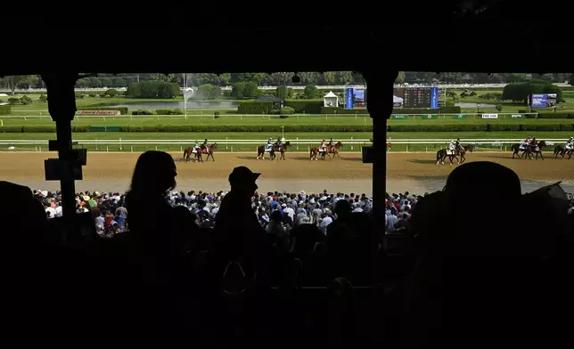 Spectators watch as thoroughbreds parade on the track before 41st running of the Woody Stephens horse race, Saturday, June 7, 2025, in Saratoga Springs, N.Y. (AP Photo/Jessica Hill)