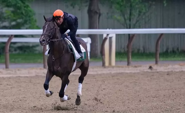 Sovereignty trains before the running of the Belmont Stakes horse race in Saratoga Springs, N.Y., Friday, June 6, 2025. (AP Photo/Seth Wenig)