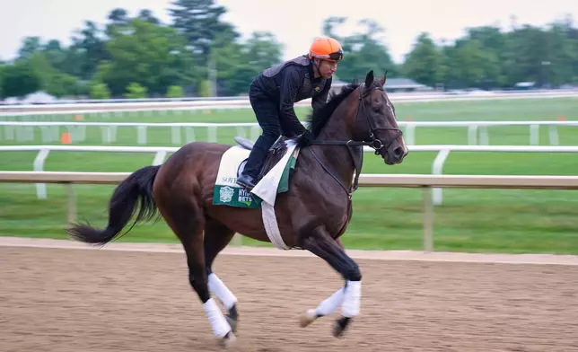 Sovereignty trains before the running of the Belmont Stakes horse race in Saratoga Springs, N.Y., Friday, June 6, 2025. (AP Photo/Seth Wenig)