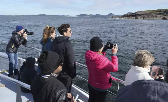 People on a whale cruise tour keep eyes out for humpback whales as the breach off the coast of Port Stephens, north of Sydney, Australia, on June 18, 2025. (AP Photo/Mark Baker)
