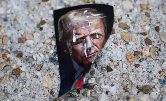 A picture of President Donald Trump lays on the ground near the White House ahead of an upcoming military parade commemorating the U.S. Army's 250th anniversary and coinciding with Trump's 79th birthday, Saturday, June 14, 2025, in Washington (AP Photo/Julia Demaree Nikhinson)