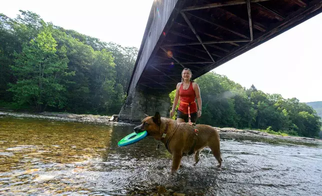 Lucy Stamp and her dog, Kenna, cool down under the Dummerston Covered Bridge in the West River, Monday, June 23, 2025, in Dummerston, Vt. (Kristopher Radder/The Brattleboro Reformer via AP)