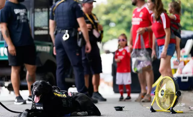 Dory, an explosive certified dog, cools down in front of a fan outside of Bank of America Stadium before the start of a FIFA Club World Cup game, Tuesday, June 24, 2025, in Charlotte, N.C. (AP Photo/Erik Verduzco)