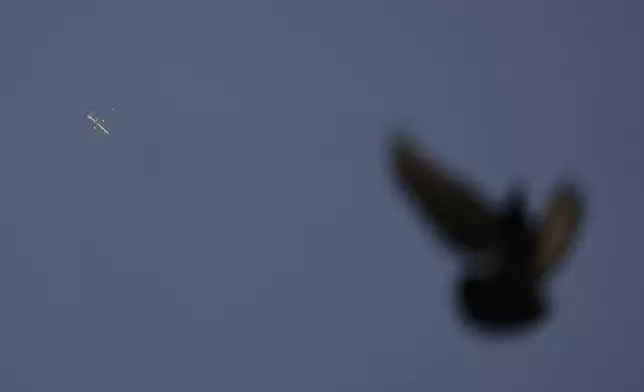 An Israeli drone flies over Beirut, Lebanon, as a bird passes in the foreground, Sunday, June 15, 2025. (AP Photo/Hassan Ammar)