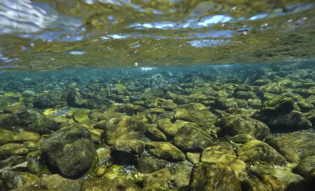 The bottom of Blue Creek is visible on Thursday, Sept. 19, 2024, in Humboldt County, Calif. (AP Photo/Godofredo A. Vásquez)