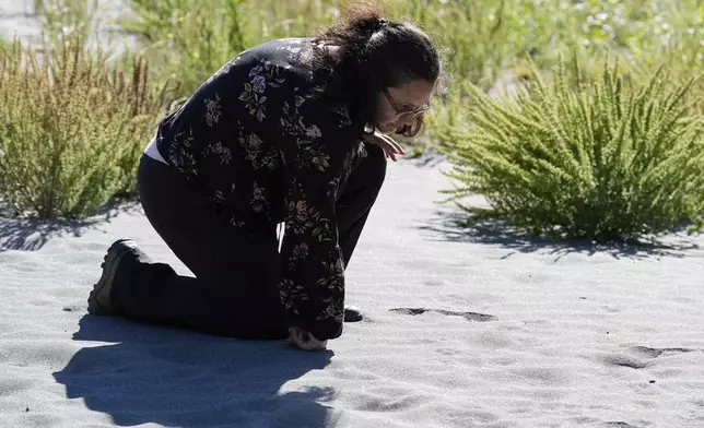 Tiana Williams-Claussen, director of the Yurok Tribe Wildlife Department, looks at footprints she believed to be of a black bear while walking on land that will be returned to the tribe Thursday, Sept. 19, 2024, in Humboldt County, Calif. (AP Photo/Godofredo A. Vásquez)