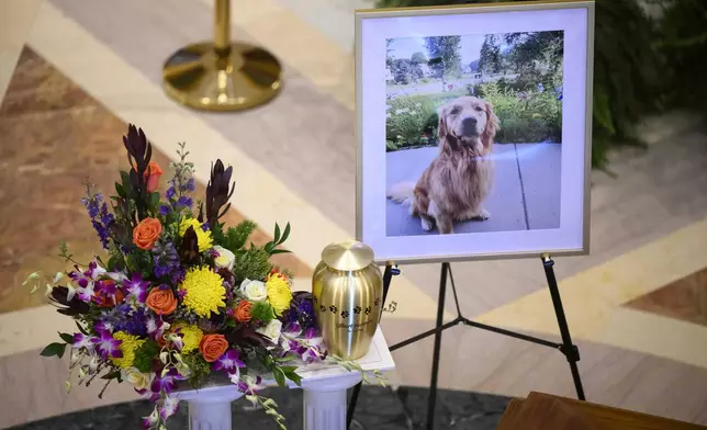 The urn carrying the remains of Gilbert, the dog of Minnesota state Rep. Melissa Hortman and her husband, Mark Hortman, is diplayed at the Minnesota State Capitol in St. Paul, Minn., on Friday, June 27, 2025. (Aaron Lavinsky/Star Tribune via AP)