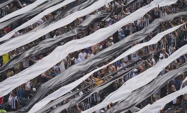 Fans of Botafogo cheer as they wait for the start of the Club World Cup round of 16 soccer match between Palmeiras and Botafogo in Philadelphia, Saturday, June 28, 2025. (AP Photo/Chris Szagola)