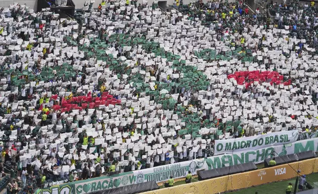 Fans of Palmeiras cheer as they wait for the start of the Club World Cup round of 16 soccer match between Palmeiras and Botafogo in Philadelphia, Saturday, June 28, 2025. (AP Photo/Chris Szagola)