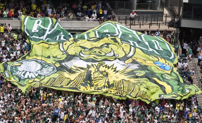 Palmeiras fans cheer after Paulinho scored his side's opening goal in extra time during the Club World Cup round of 16 soccer match between Palmeiras and Botafogo in Philadelphia, Saturday, June 28, 2025. (AP Photo/Chris Szagola)