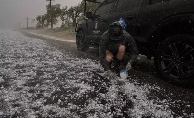 Tony Illenden crouches in a helmet and gloves outside Northern Illinois University's Husky Hail Hunter to scoop hail into a bag while in a hailstorm during a Project ICECHIP operation Friday, June 6, 2025, in Levelland, Texas. (AP Photo/Carolyn Kaster)
