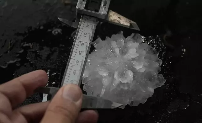 Forensic engineer Tim Marshall measure a large hail shaped like a rose between the front seats of Northern Illinois University's Husky Hail Hunter during a Project ICECHIP operation Friday, June 6, 2025, in Morton, Texas. (AP Photo/Carolyn Kaster)
