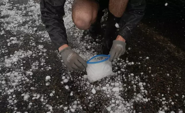 Tony Illenden crouches outside Northern Illinois University's Husky Hail Hunter to scoop hail into a bag while in a hailstorm during a Project ICECHIP operation Friday, June 6, 2025, in Levelland, Texas. (AP Photo/Carolyn Kaster)
