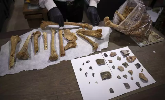Hassan Ismail of the Idlib Museum examines bones from a Byzantine underground tomb complex, believed to be over 1,500 years old, discovered by a contractor during the reconstruction of a war-damaged house in Maarat al-Numan, Idlib suburb, at the Idlib Museum, Syria, Friday, May 30, 2025. (AP Photo/Omar Albam)