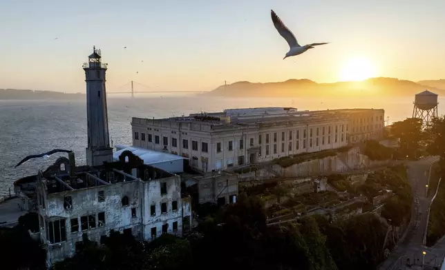 A bird flies above Alcatraz Island, May 4, 2025, in the San Francisco Bay, California. (AP Photo/Noah Berger)