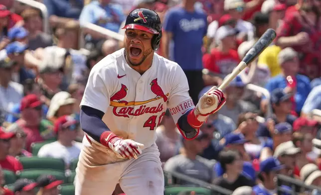St. Louis Cardinals' Willson Contreras celebrates after hitting an RBI single during the seventh inning of a baseball game against the Los Angeles Dodgers Sunday, June 8, 2025, in St. Louis. (AP Photo/Jeff Roberson)