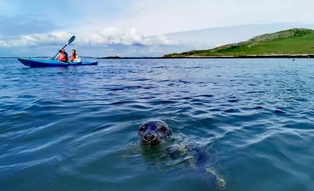 Kayaking in Ireland's Eye, County Dublin
