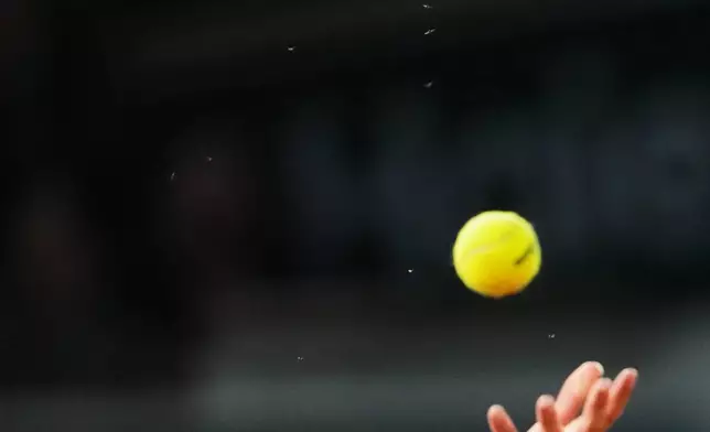 Bugs fly as Germany's Alexander Zverev serves against Serbia's Novak Djokovic during their quarterfinal match of the French Tennis Open at the Roland-Garros stadium in Paris, Wednesday, June 4, 2025. (AP Photo/Lindsey Wasson)