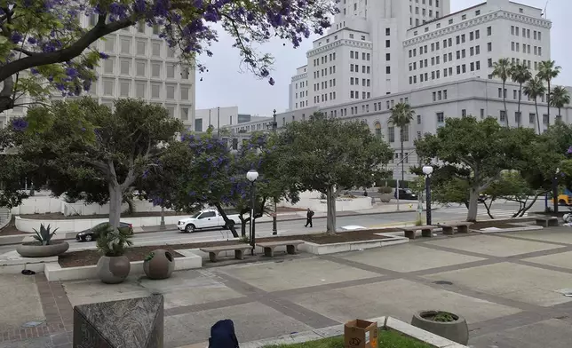 A homeless couple wakes up early morning after sleeping in a public park across the Los Angeles Federal building despite the curfew overnight, Wednesday, June 11, 2025, in Los Angeles. (AP Photo/Damian Dovarganes)