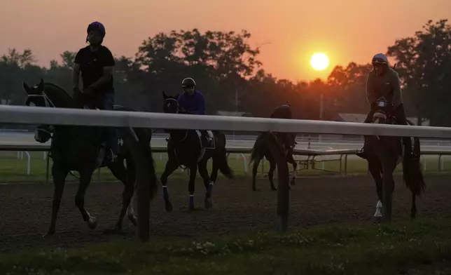 The sun rises over training horses at the Saratoga Race Track, before running of the Belmont Stakes horse race, in Saratoga Springs, N.Y., Thursday, June 5, 2025. (AP Photo/Seth Wenig)