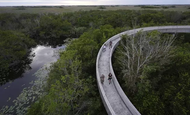 FILE - Visitors walk down a ramp after climbing Shark Valley observation point in Everglades National Park, Fla., Nov. 20, 2024. (AP Photo/Rebecca Blackwell, File)