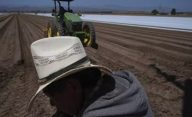 Farm workers plow the land for a strawberry field in Oxnard, Calif., on Wednesday, June 18, 2025. (AP Photo/Damian Dovarganes)