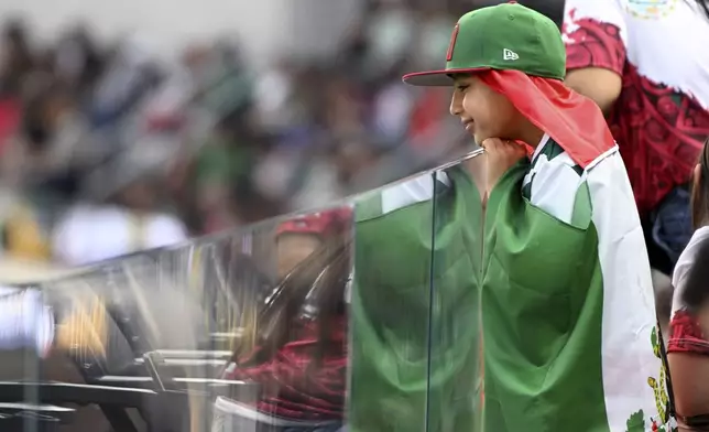 A fan watches during a CONCACAF Gold Cup soccer match between Mexico and Dominican Republic, Saturday, June 14, 2025, in Inglewood, Calif. (AP Photo/Wally Skalij)