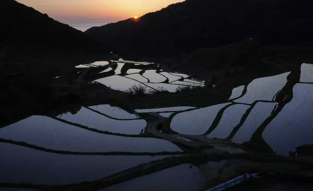 The sun sets over water-filled, terraced rice field in Hirado, southern Japan, Tuesday, April 29, 2025. (AP Photo/Hiro Komae)