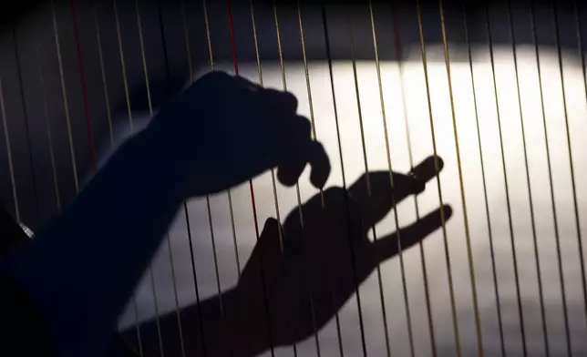 A member of the Vienna Symphony Orchestra plays on harp during "The Blue Danube" waltz as it is transmitted into deep space towards Voyager 1. in Vienna, Austria, on Saturday, May 31, 2025. (AP Photo/Denes Erdos)
